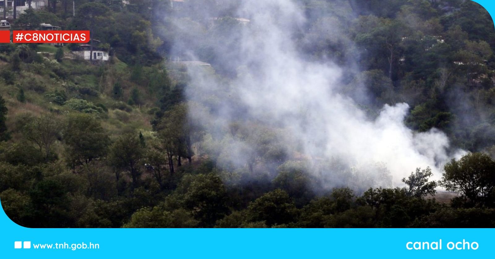 Incendios forestales arrasan más de 16 mil hectáreas en lo que va de 2025, alerta el ICF