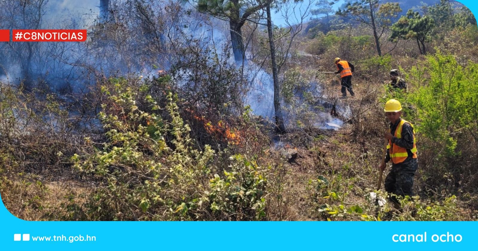 Fuerzas Armadas combaten 23 incendios forestales durante el fin de semana