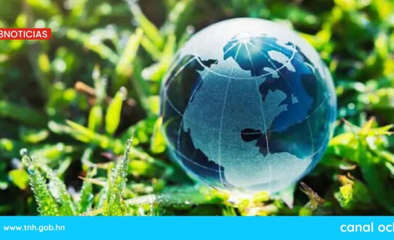 Irán respalda los proyectos ecológicos del BRICS