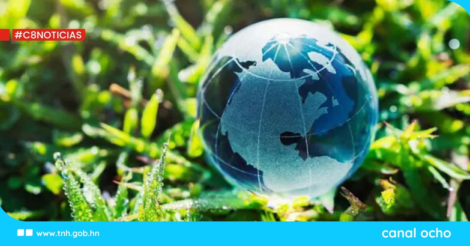 Irán respalda los proyectos ecológicos del BRICS