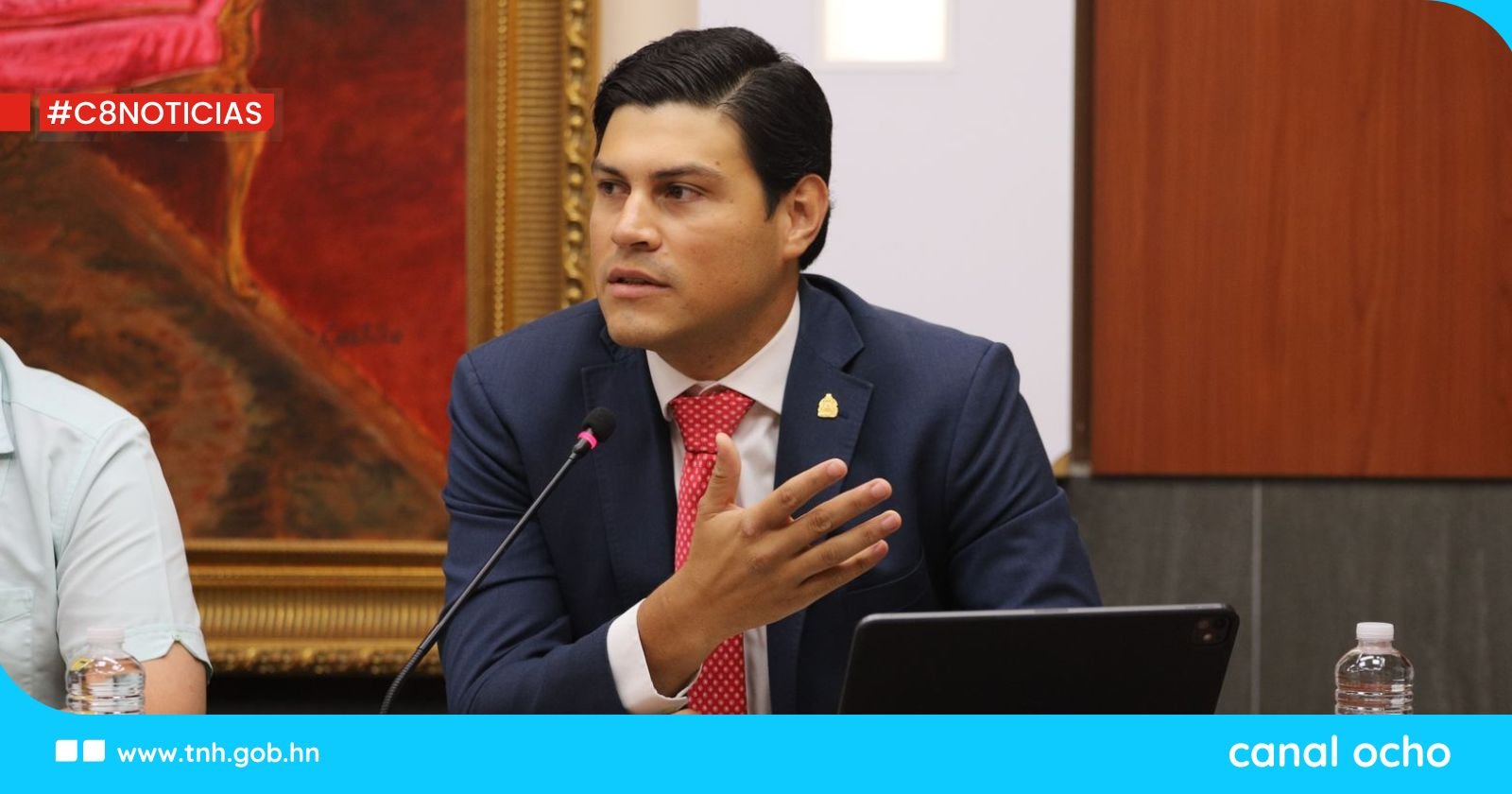 Comisión de Investigación del CN recibe en comparecencia al consejero del CNE Marlon Ochoa