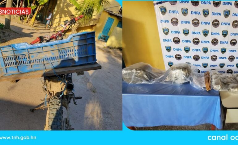 Policías antidrogas decomisan más de 45 libras de marihuana en Olancho