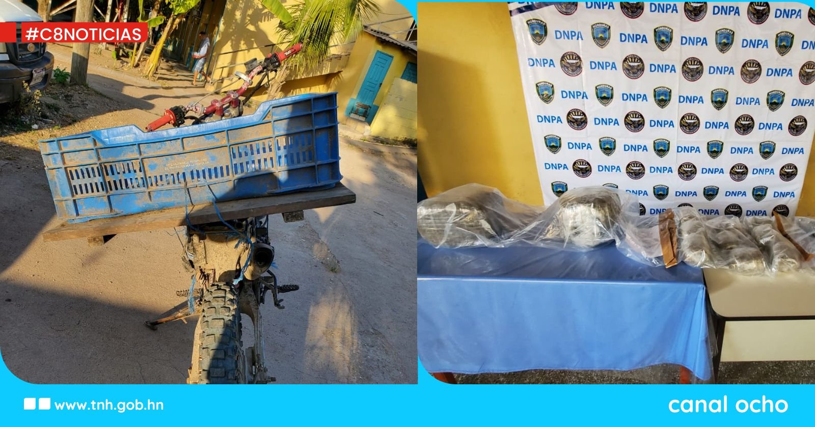 Policías antidrogas decomisan más de 45 libras de marihuana en Olancho
