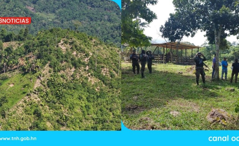 Cero Deforestación
