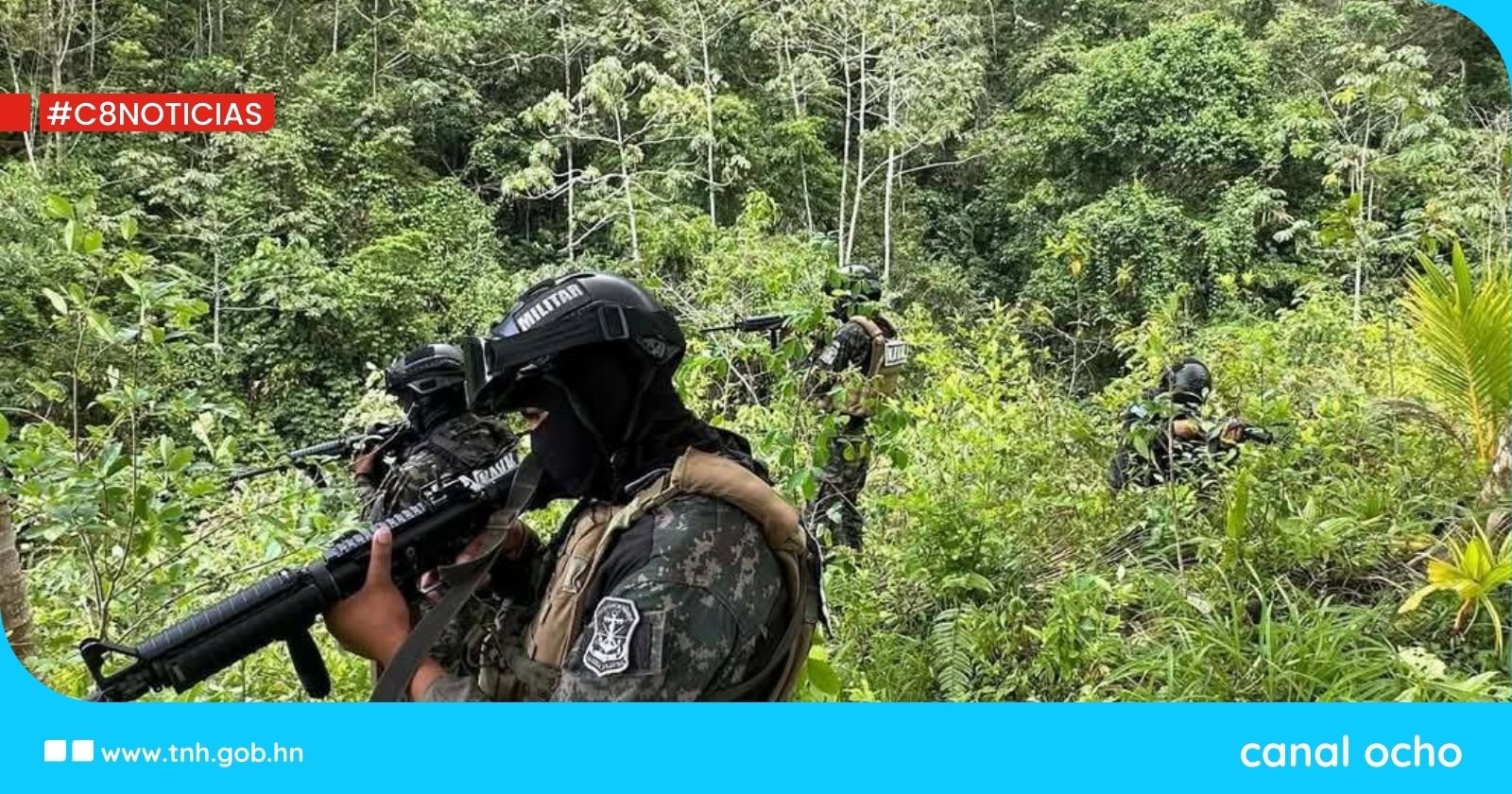 Autoridades aseguran plantación de coca en La Masica, Atlántida