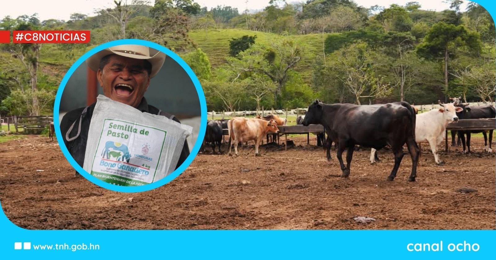 Sefin transfiere L800 millones para apoyo a los productores del campo a través de los bonos Tecnológico y Ganadero