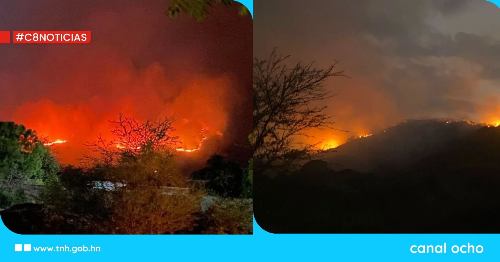 FF. AA. sofocan incendio forestal en el Cerro El Coyote