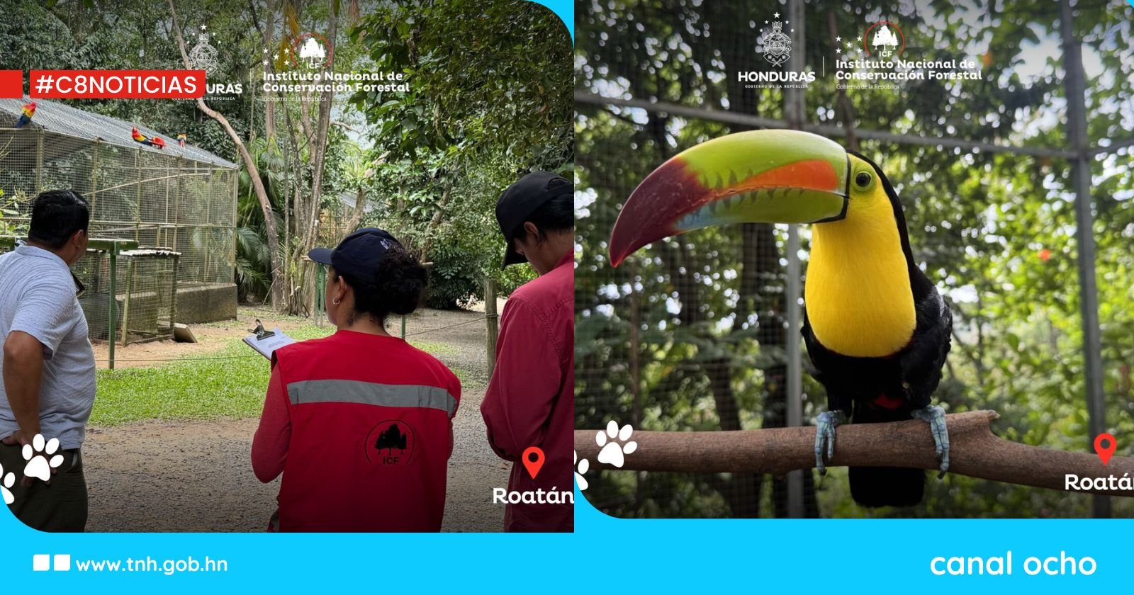 ICF refuerza protección de la vida silvestre en Roatán con inspecciones a zoológicos