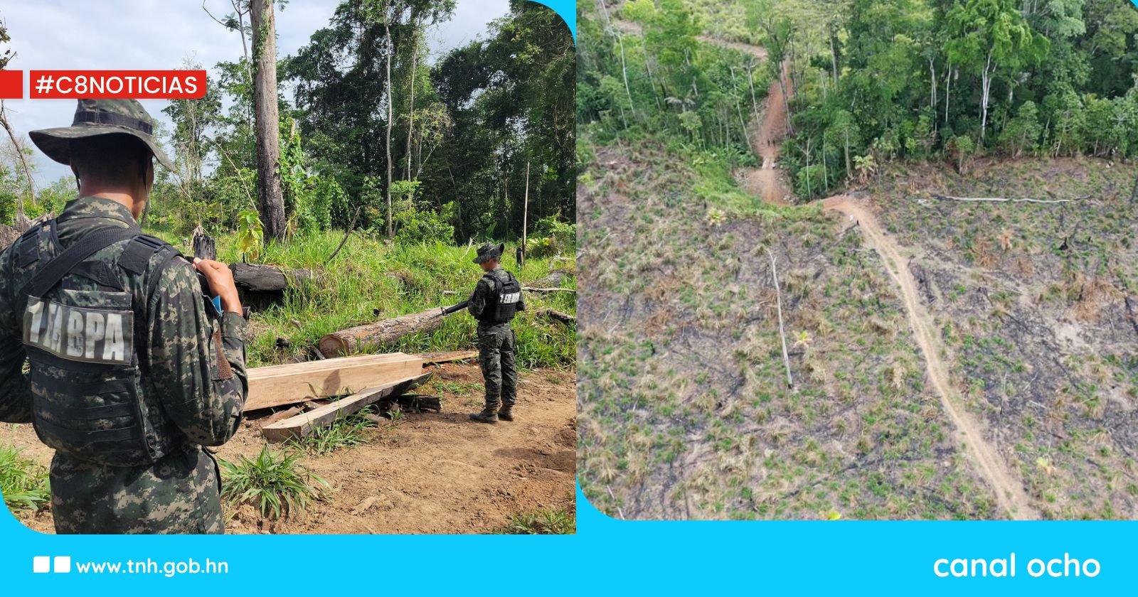 ICF despliega operativo en Pimienta tras detectar graves daños ambientales