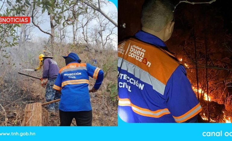 AMDC destaca labor de atención ante múltiples incendios