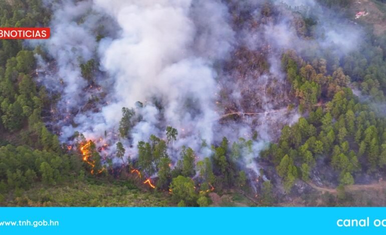 PGR presenta requerimiento judicial por incendio forestal cerca de la capital