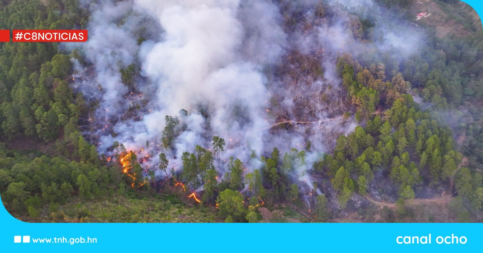 PGR presenta requerimiento judicial por incendio forestal cerca de la capital