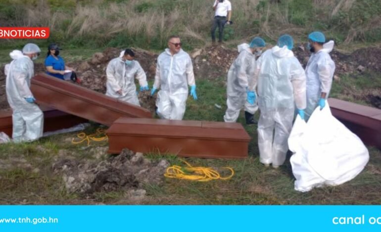 Medicina Forense