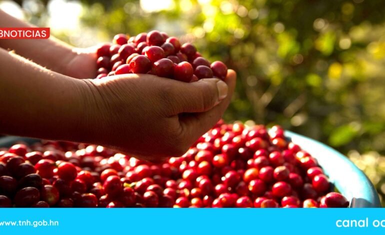 cafetalero
