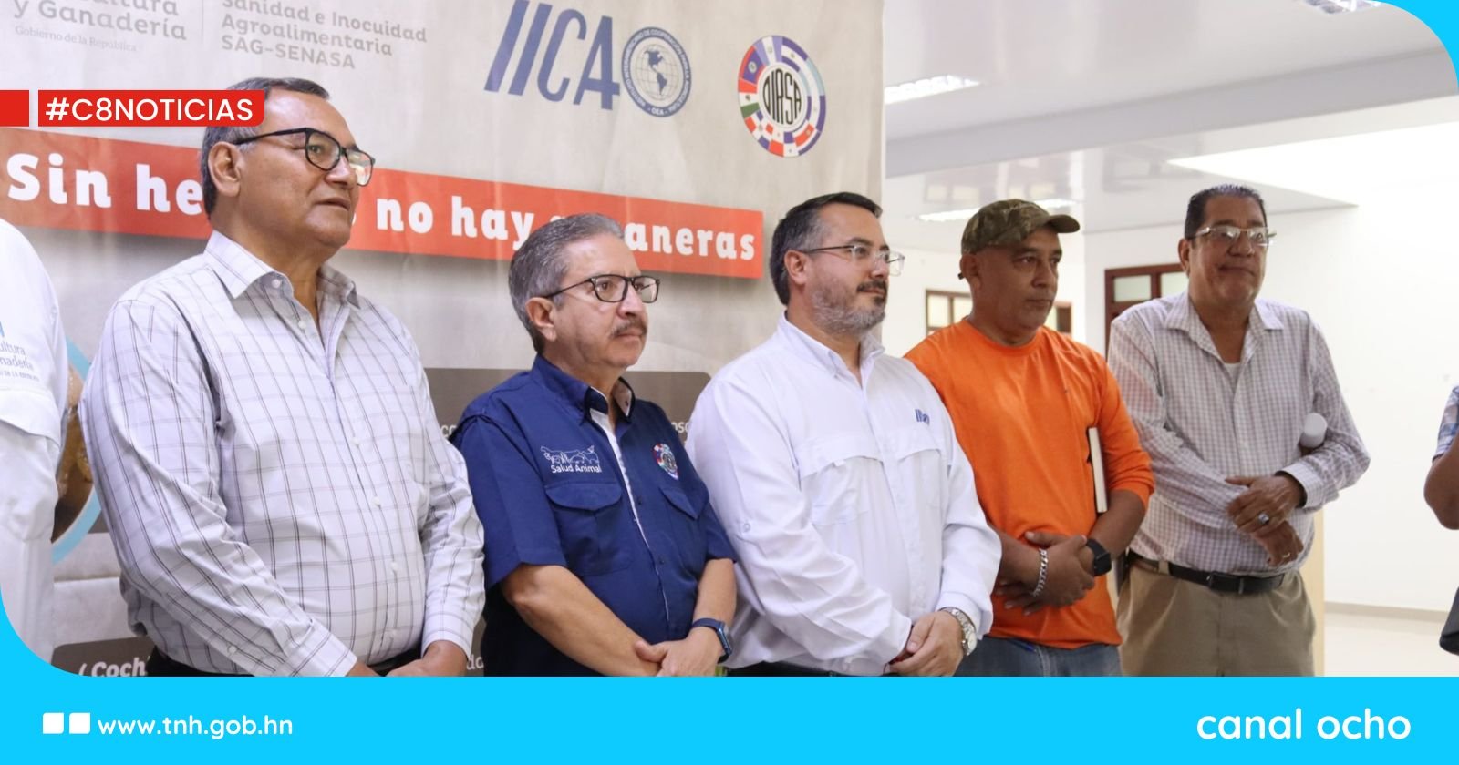 Senasa refuerza medidas contra el gusano barrenador del ganado en Olancho