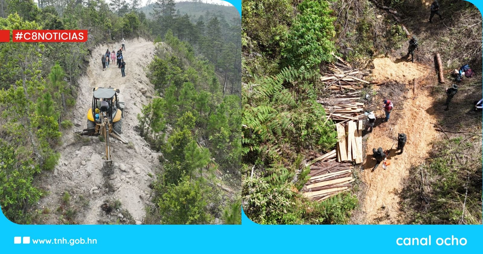 Comisión Cero Deforestación al 2029 reporta 53 áreas protegidas intervenidas