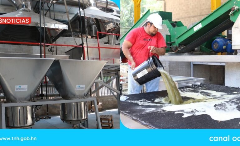 Productores sureños dan un salto a la industrialización de la caña