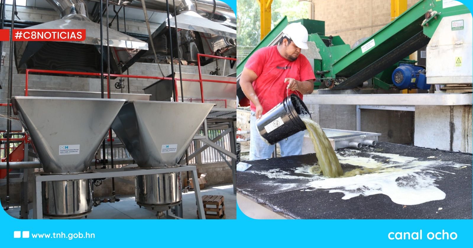 Productores sureños dan un salto a la industrialización de la caña