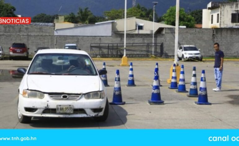 licencia de conducir