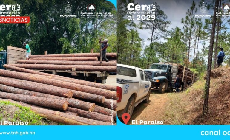 madera